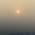Emilewicz: choroby powodowane smogiem kosztują nas 60 mln zł rocznie