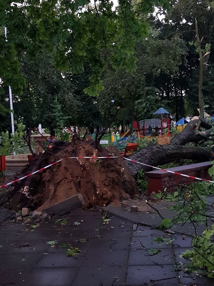 Aleksandrów Łódzki szacowanie zniszczeń po burzy