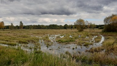 Interwencja niedaleko Zalewu Siemianówka. Jemeńczyk zabrany przez Straż Graniczną 