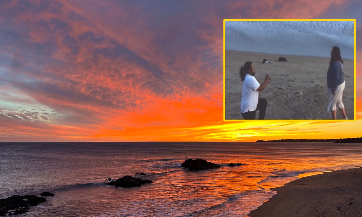 Nagranie zaręczyn na plaży w Malibu podbija internet. Para zaprasza autorkę filmu na ślub