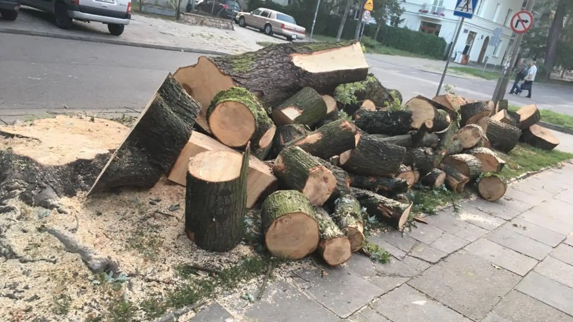 Dalszy ciąg nielegalnej wycinki drzew. Mieszkańcy cierpią, a winnych nie ma