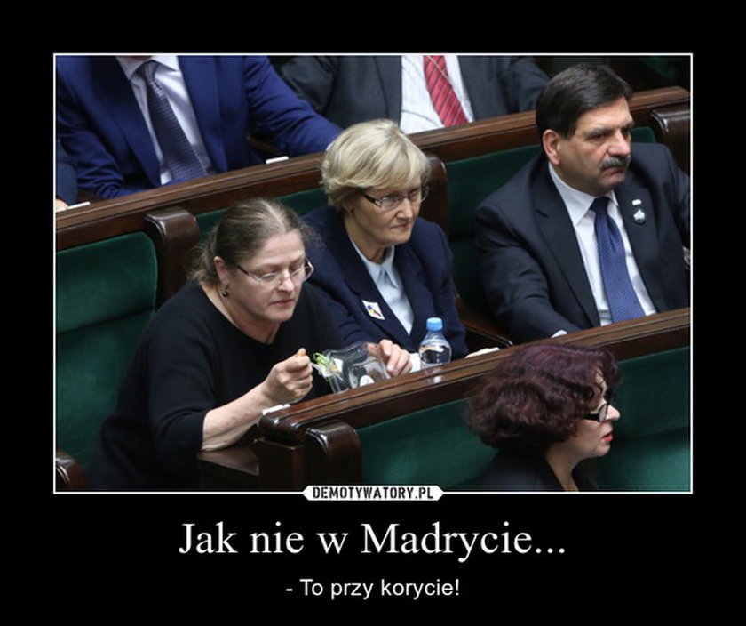 Memy z Pawłowicz