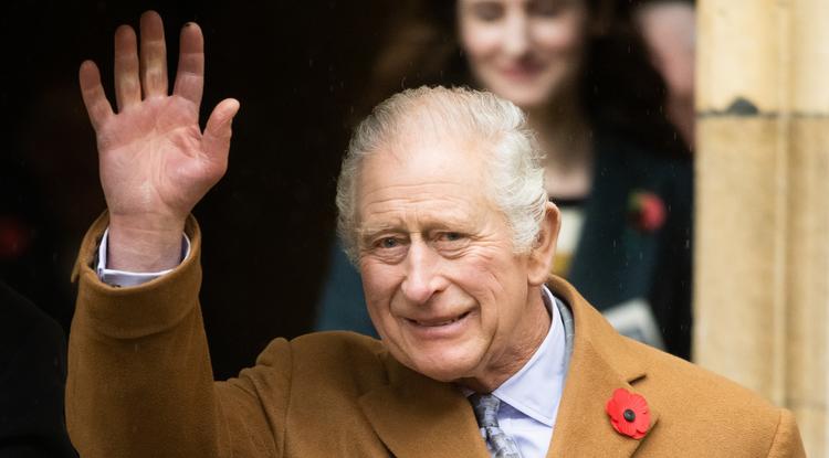 Ki helyettesíti a rákos Károly királyt? Fotó: Getty Images