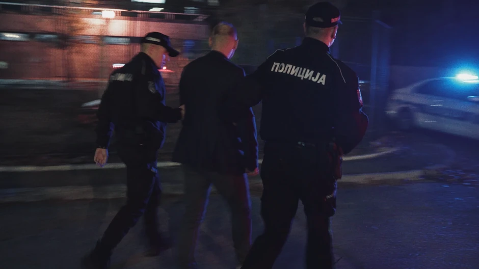 Anastasija Ražnatović, Ceca show