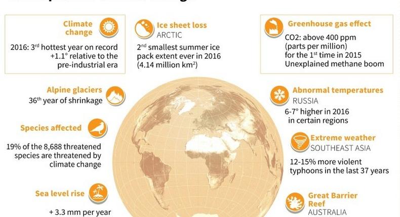 The impacts of climate change