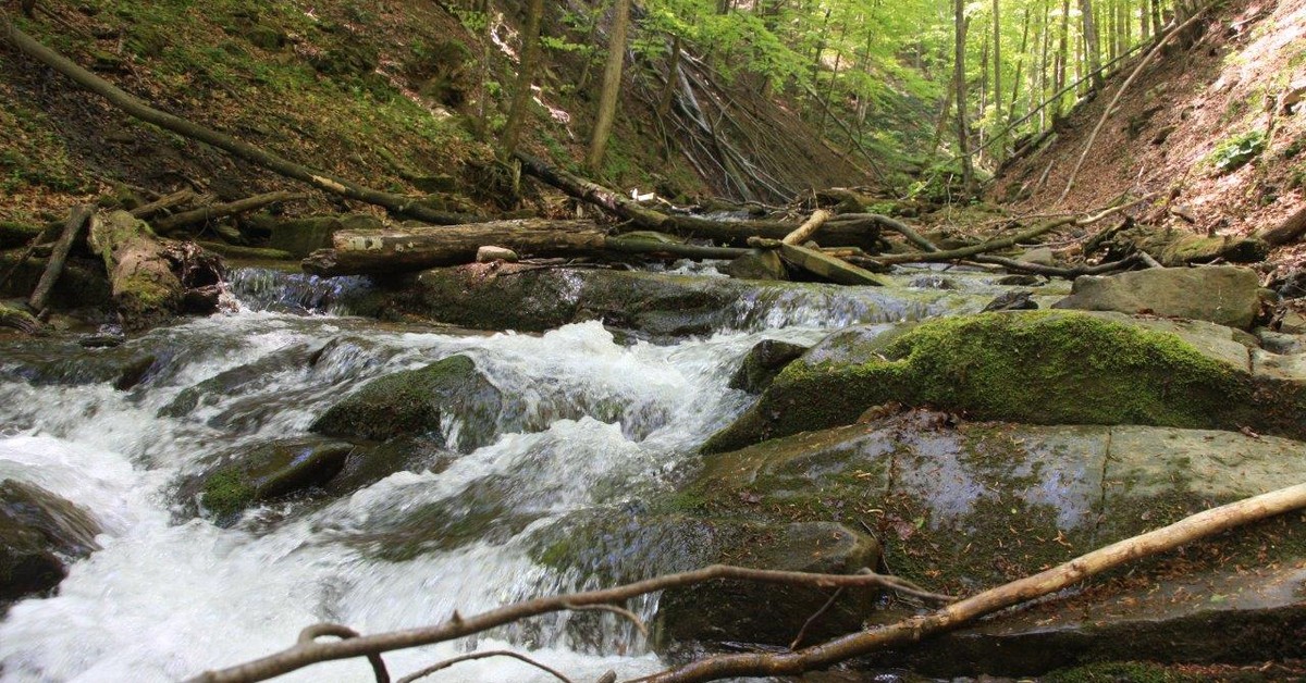 Środowisko dwa lata po wyborach: może być historyczny sukces, ale co z resztą?