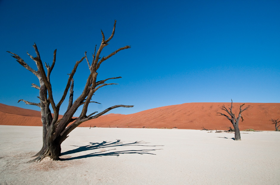 Wydmy Namibii - pustynia Namib
