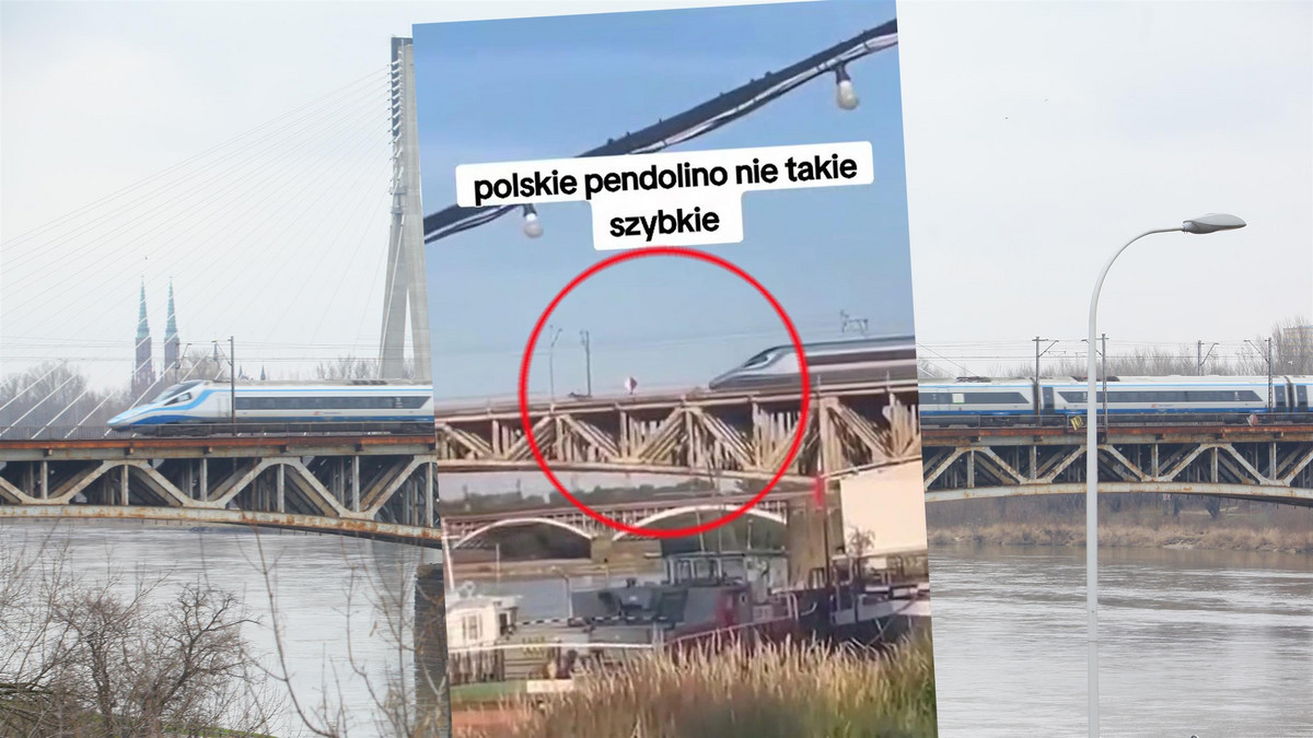 Ogromne zwierzę na warszawskim moście. Pendolino nagle stanęło