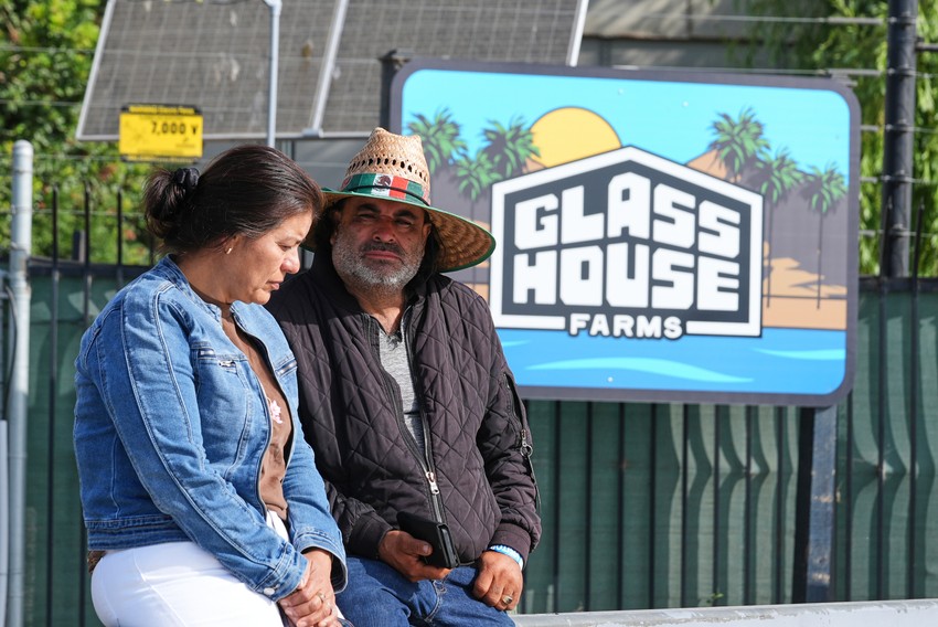 Zajednica u šoku nakon racije na farmama Gles haus u Kamarilu, Kalifornija, 11. jula