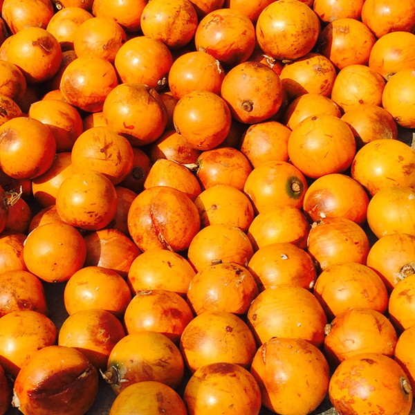 African star apple/Agbalumo/Udara 