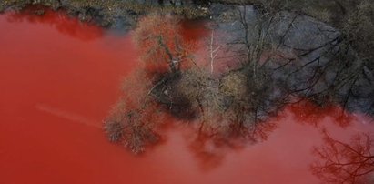 Porażający widok. Staw przybrał barwę krwi