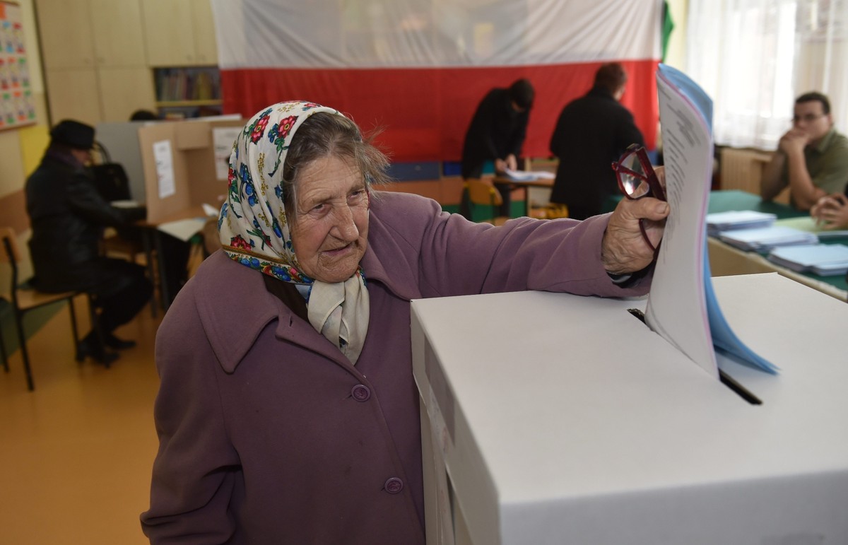 Wybory samorządowe 2014