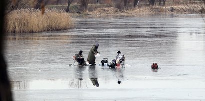 Wędkarze stracili rozum?