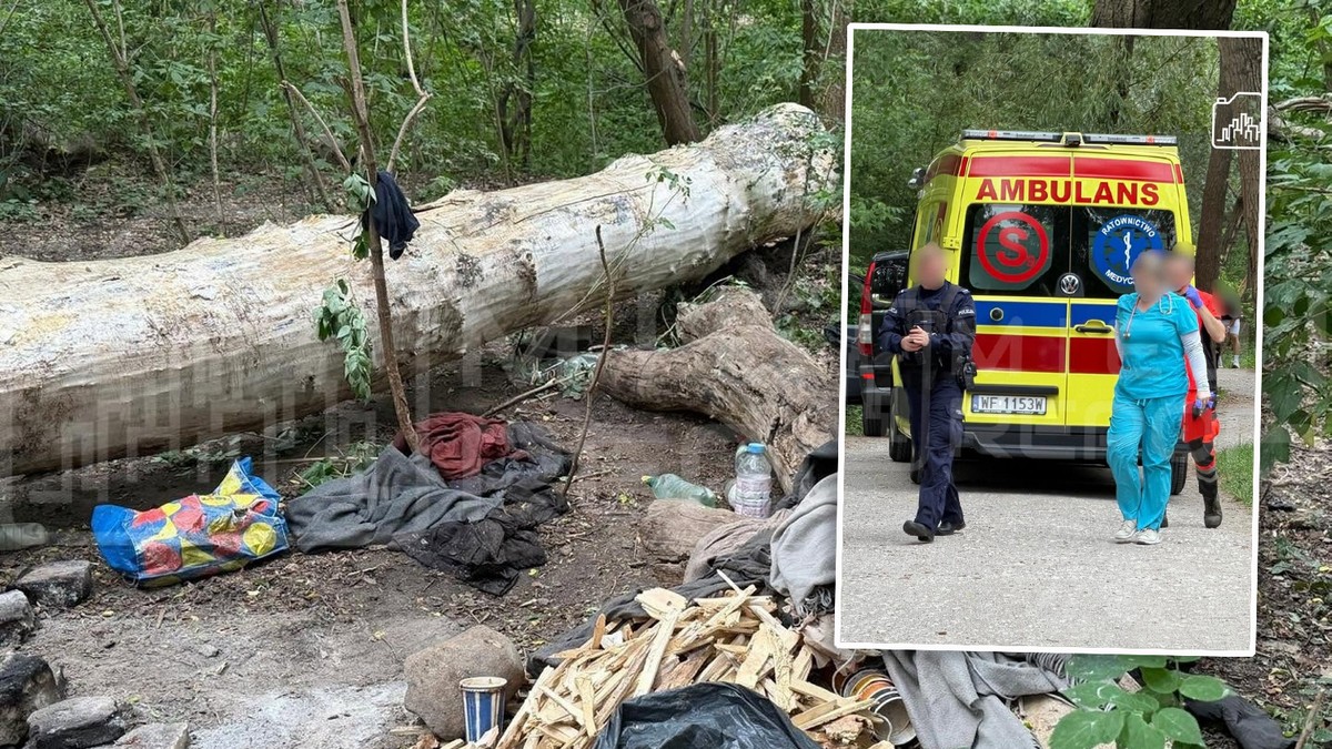 Tragedia w Warszawie. Spróchniałe drzewo zabiło człowieka
