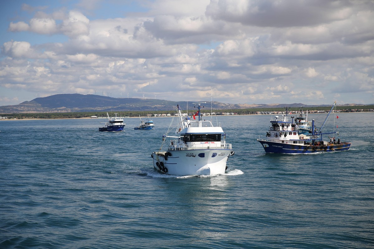 Izrael deportował aktywistów z flotylli. Wśród nich Polacy