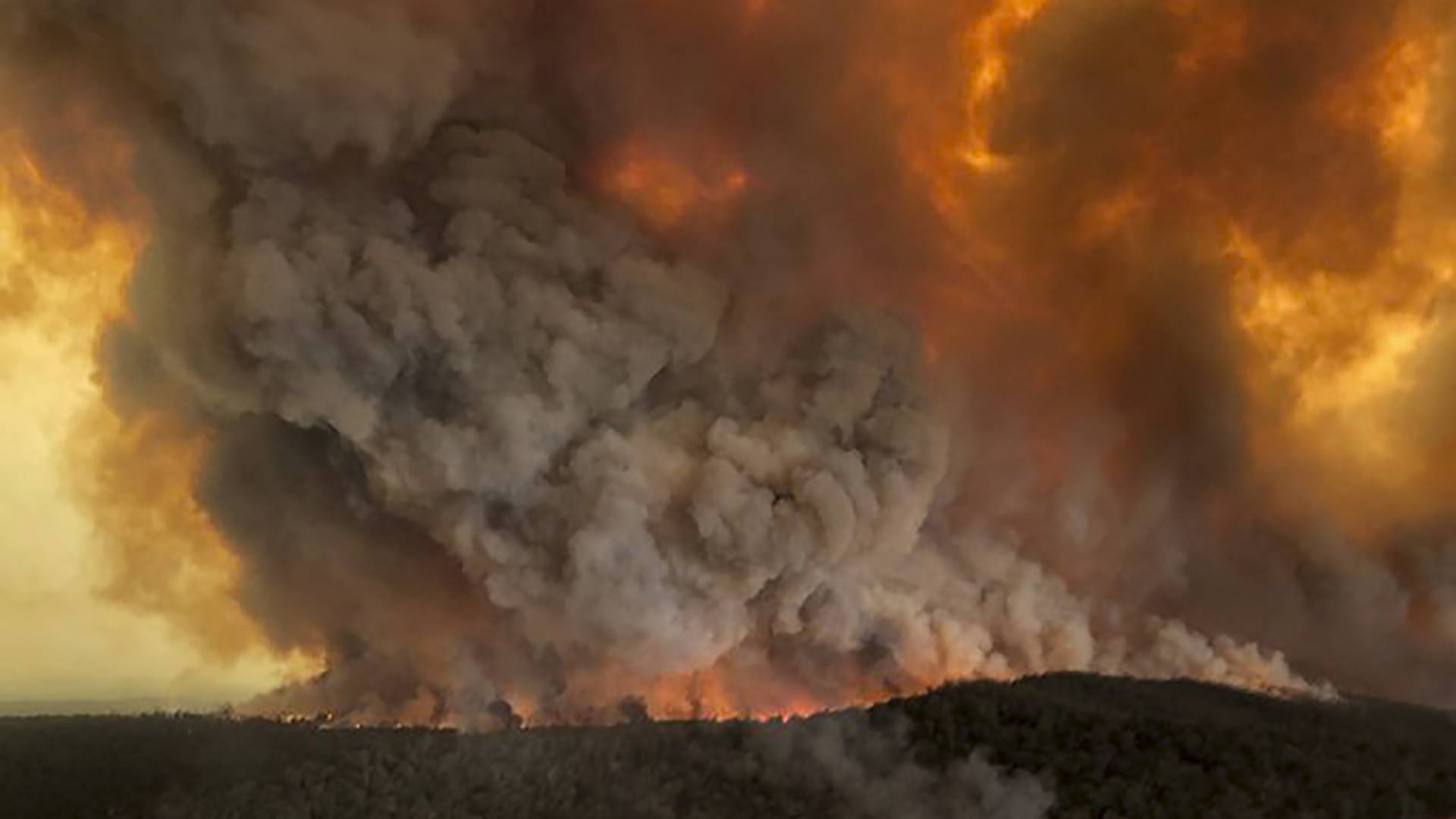 Po viac ako 240 dňoch je koniec, väčšina požiarov buša v Austrálii je už uhasená