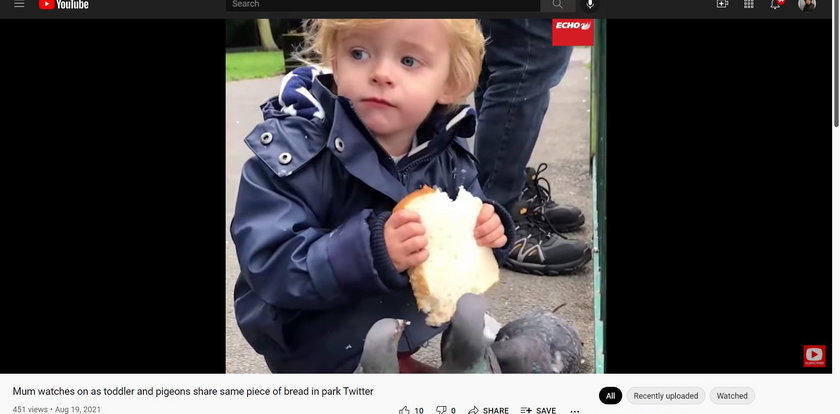 Chłopiec pozwolił skubać gołębiom kromkę, którą trzymał przy ustach. Piękne, ale czy bezpieczne?