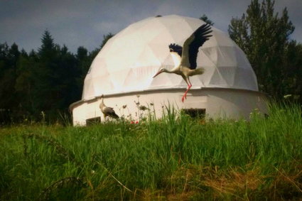 W Pile stanął kosmiczny habitat. Zamieszkają w nim eksperymentalni astronauci