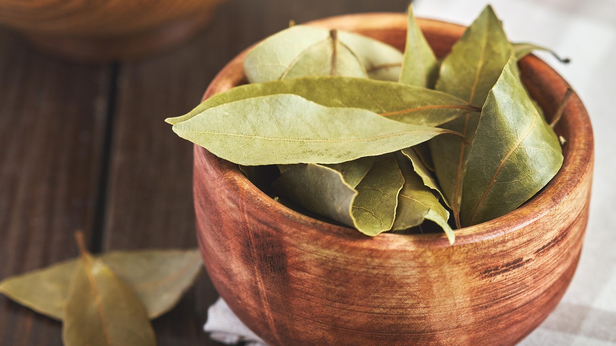 Lovor nije samo začin: Rusi ga ovako koriste pre prve setve - trikovi za zaštitu bilja