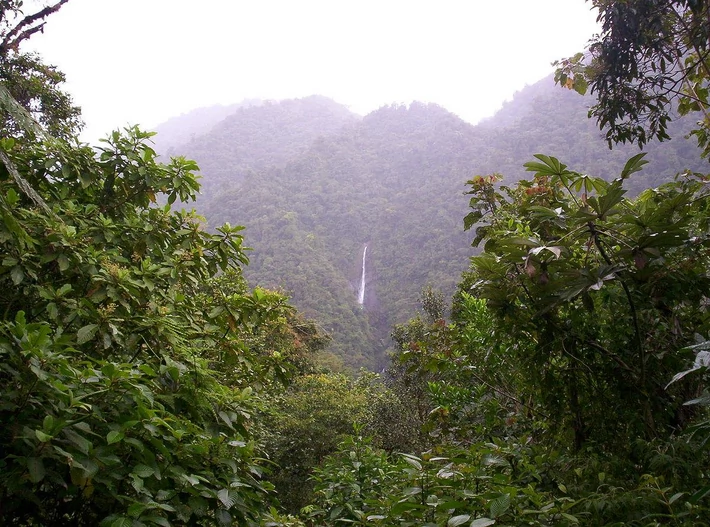 Park Narodowy Tapantí