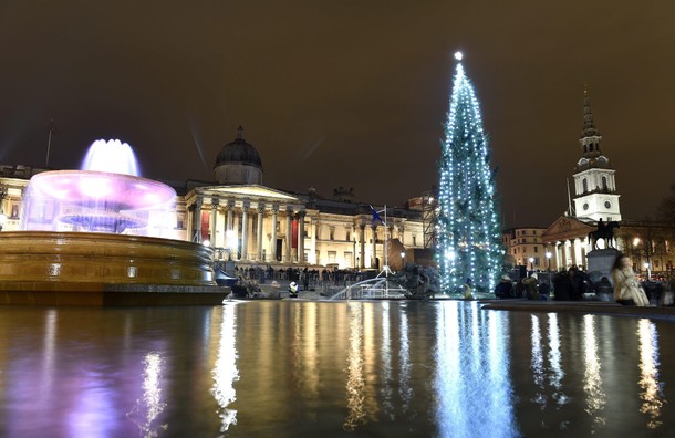 Trafalgar Christmas tree in London