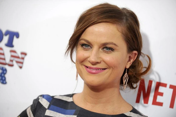 6. Amy Poehler