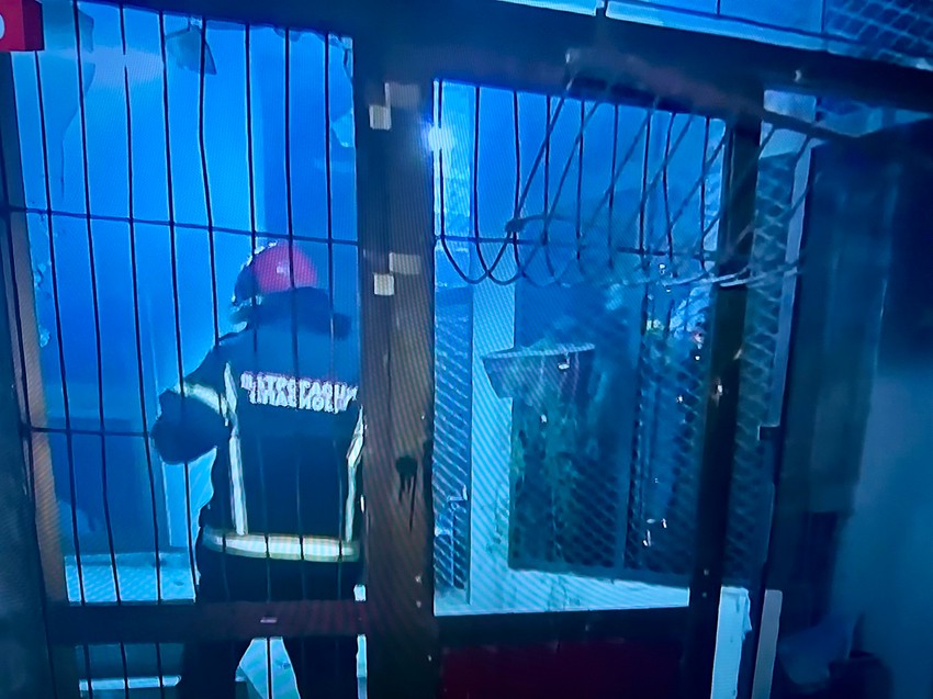 Zapaljene prostorije SNS u Novom Sadu