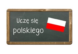 1335 zł miesięcznie dla obcokrajowca na naukę polskiego?