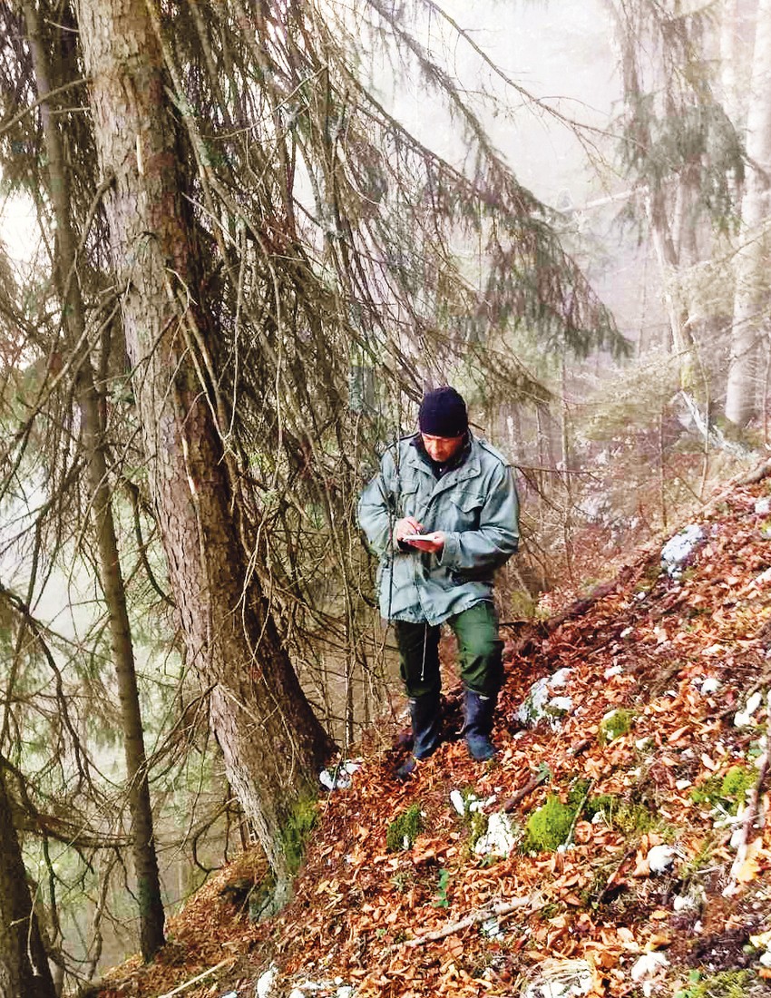 Naučnici će obaviti analize na 20 nalazišta Pančićeve omorike