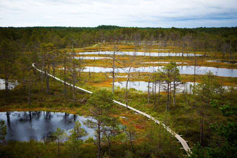 Park Narodowy Lahemaa