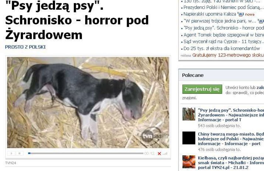 Psy jedzą psy! Horror pod Żyrardowem!