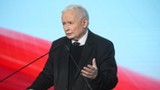 Kaczyński nie zgadza się z Czarnkiem. "Nie ma mowy. Tam są różne jaszczury"