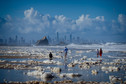 Plaża Currumbin, Queensland, Australia