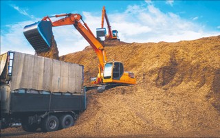 Spór w rządzie. Drewno dla ciepłowni czy dla producentów?