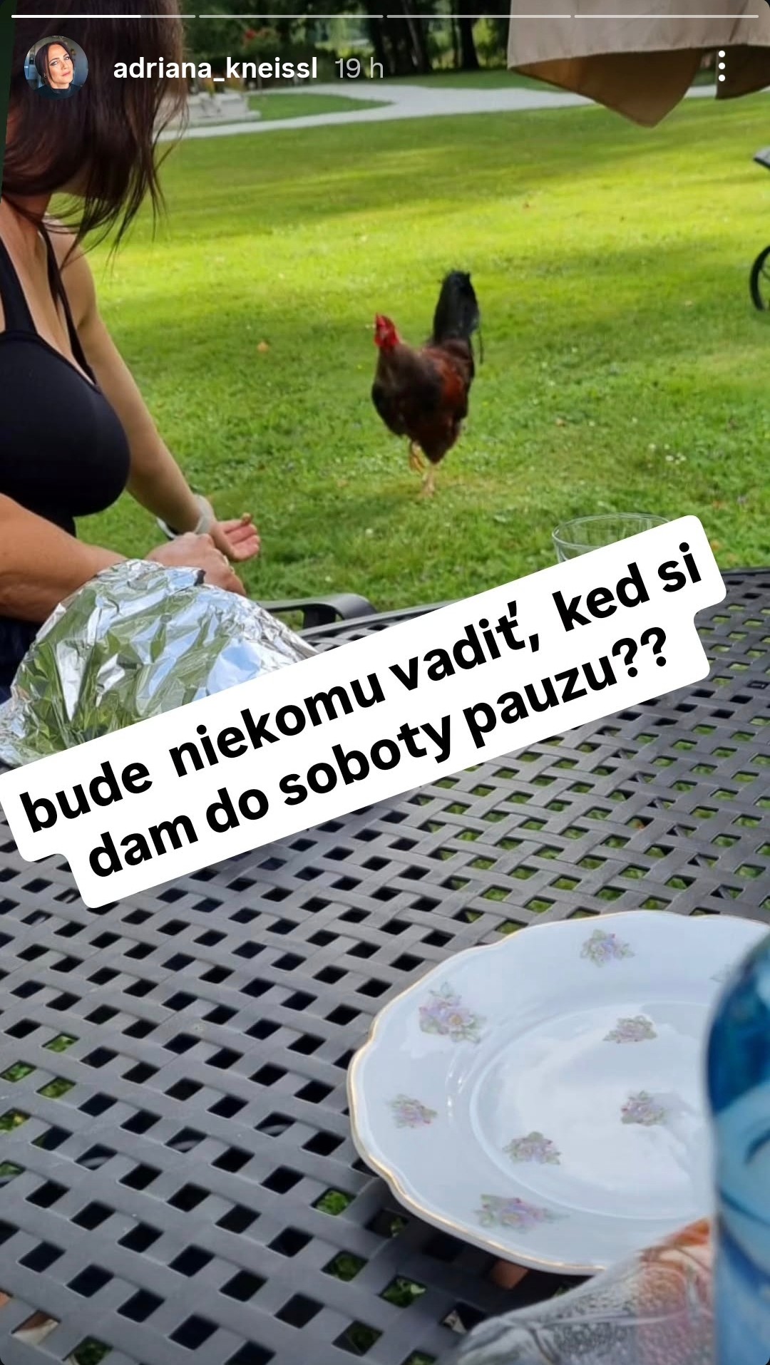 Adriana Kneissl oznámil pauzu na sociálnej sieti. 