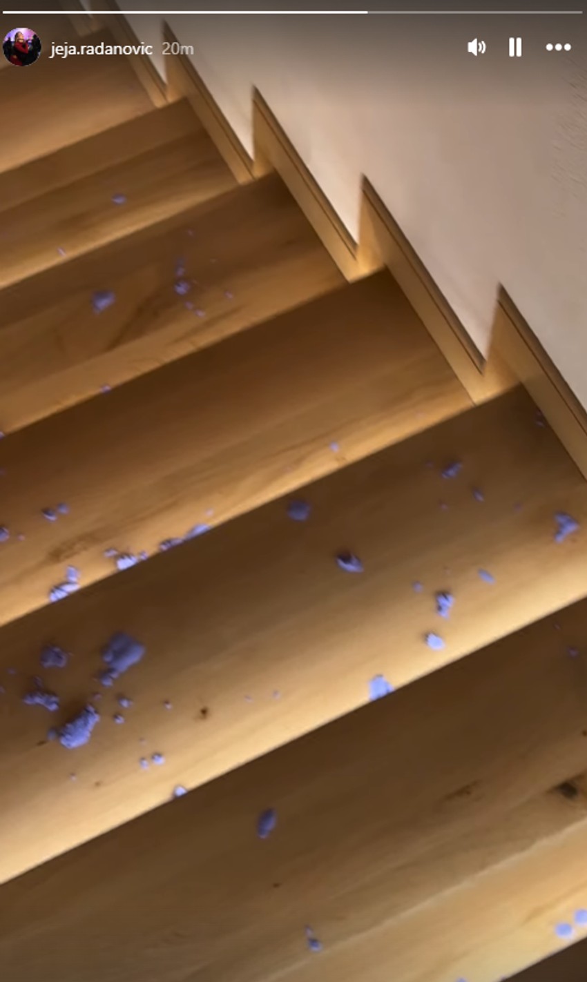 Jelena pokazala šta radi sin Damjan