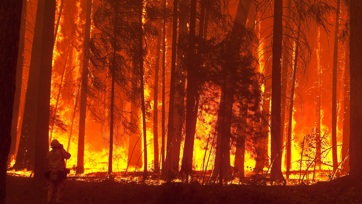 Strażacy w Kalifornii toczą dramatyczną walkę z olbrzymi pożarem lasów i zarośłi zagrażającym parkowi narodowemu Yosemite i największemu zbiornikowi wody pitnej dla San Francisco. Pożar rozszerzył się na obszar 526 km kwadratowych i opanowany jest w zaledwie 7 proc.