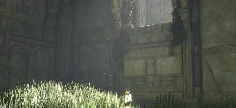 Galeria The Last Guardian