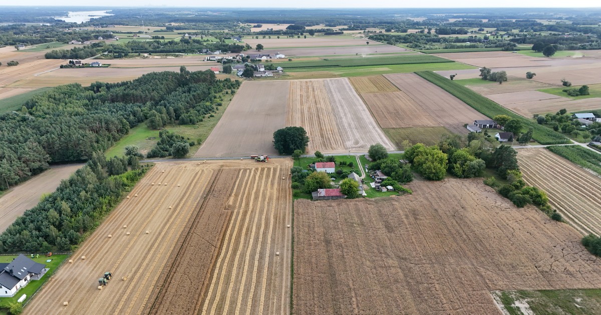 Działki rolno-budowlane kuszą cenami. Jednak ograniczenia mogą zaskoczyć