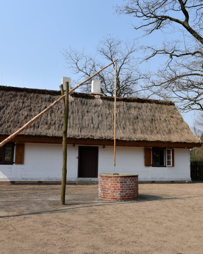 Ogród Botaniczny w Łodzi znów otwarty