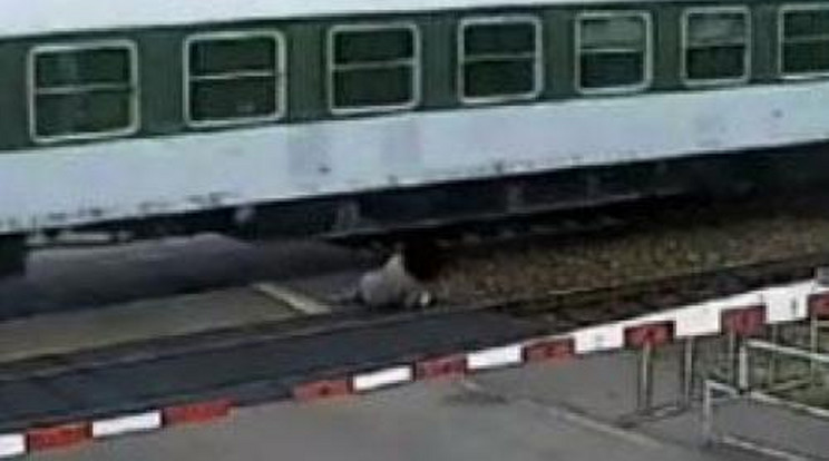Elütötte a vonat, de a saját lábán sétált el! – videó