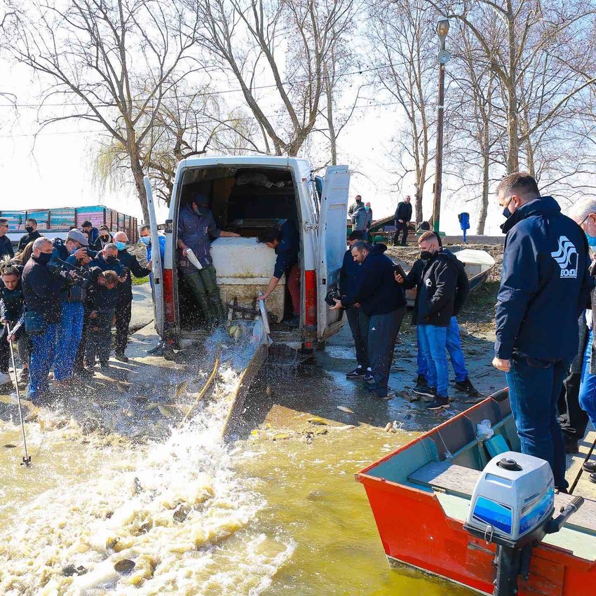 Poribljavanje na vodama Vojvodine