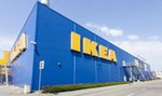 Szok! Jedzenie z larwami w IKEA