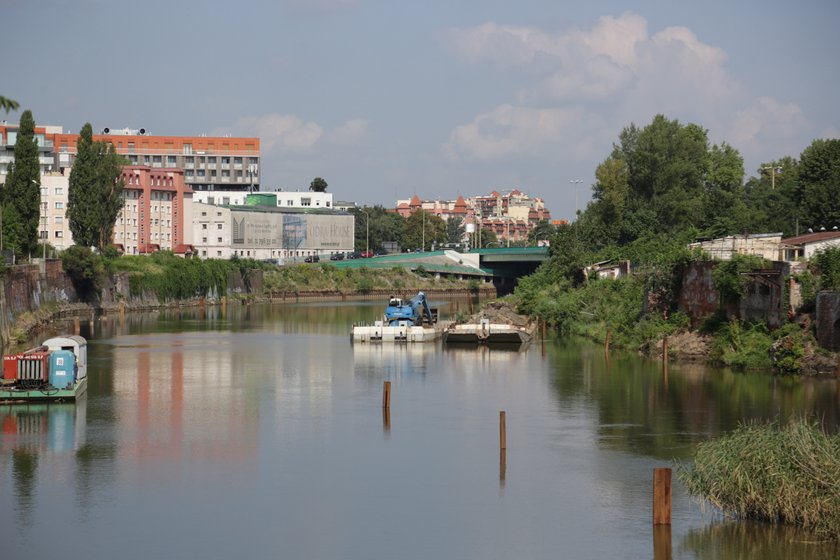 Odra we Wrocławiu