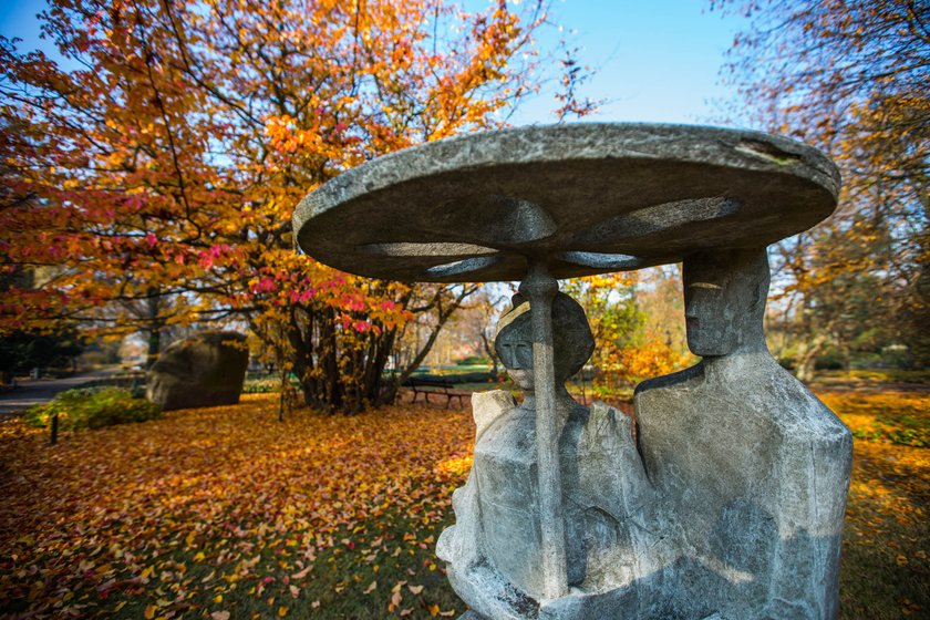 Ogród Botaniczny będzie czynny całą zimę