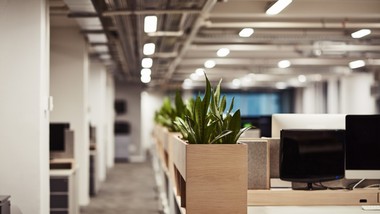 bez cudzoziemców gospodarka będzie hamować