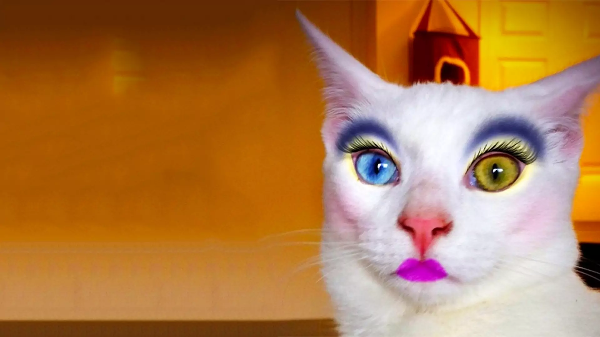 Koty w pełnym makijażu? Nadchodzi nowa, zaskakująca moda z Japonii