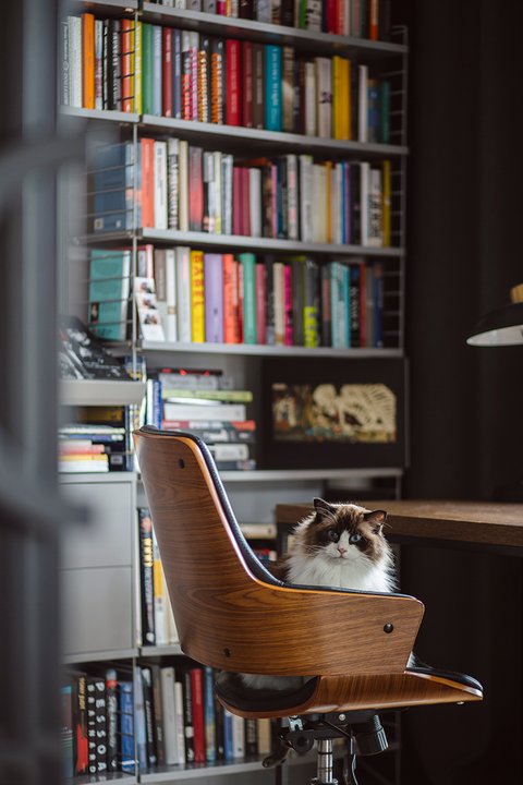 Mieszkanie z widokiem na Gdańsk. W nim prywatna biblioteczka.