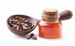 Na odporność – pierzga. Jakie są jej właściwości?