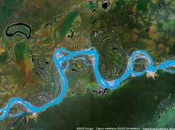 Będziemy ratować zwierzęta z orbity